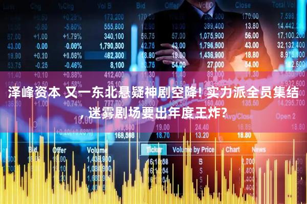 泽峰资本 又一东北悬疑神剧空降! 实力派全员集结, 迷雾剧场要出年度王炸?