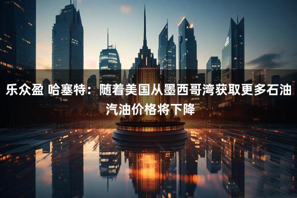 乐众盈 哈塞特：随着美国从墨西哥湾获取更多石油 汽油价格将下降