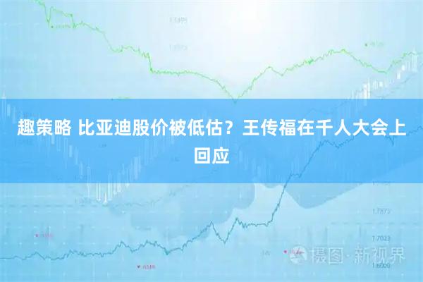趣策略 比亚迪股价被低估？王传福在千人大会上回应