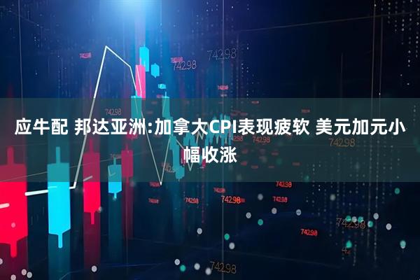 应牛配 邦达亚洲:加拿大CPI表现疲软 美元加元小幅收涨