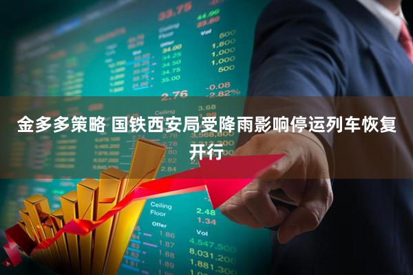 金多多策略 国铁西安局受降雨影响停运列车恢复开行